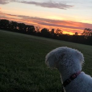 Meet your Posher, Mia